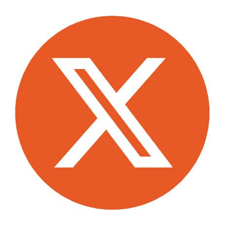 X Icon