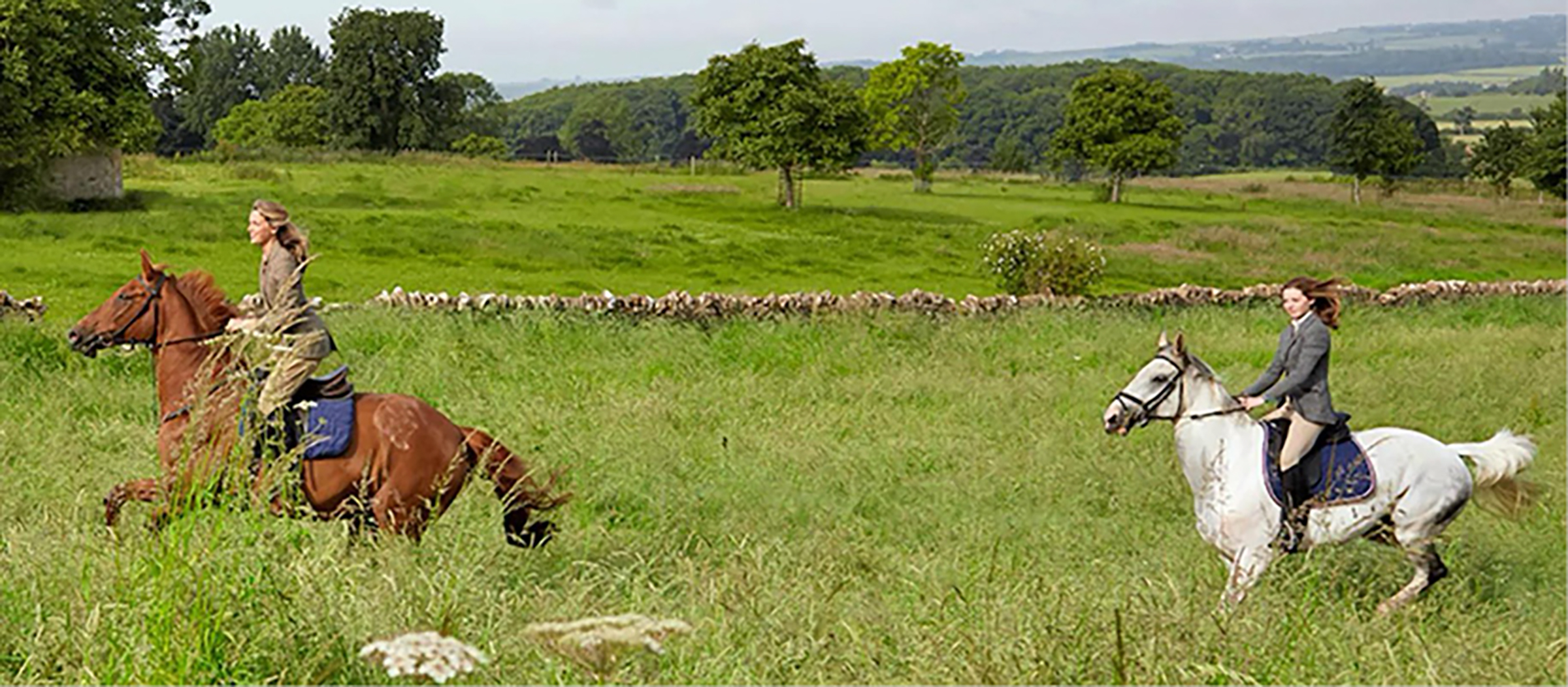 Horseback riding