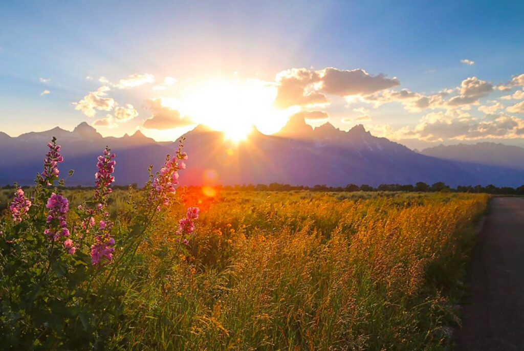 Grand Teton Sunrise